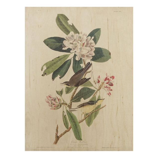 Trätavlor blommor  Vintage Board Warbler