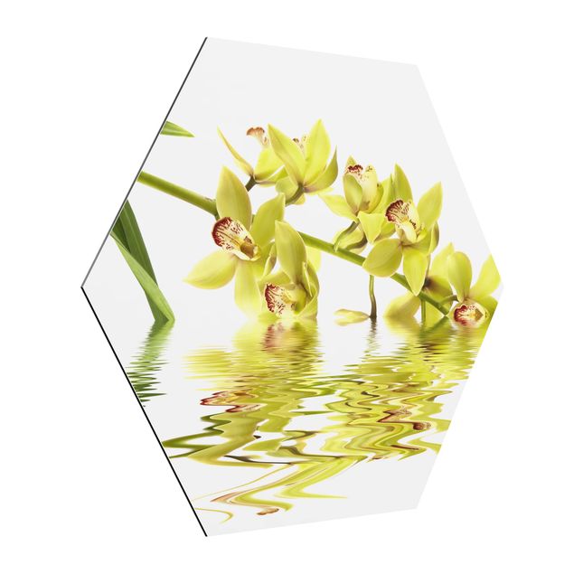 Tavlor blommor  Elegant Orchid Waters
