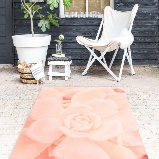 modern matta vardagsrum Light Pink Floral Magic Echeveria