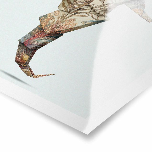 Tavlor turkos Origami Seahorse