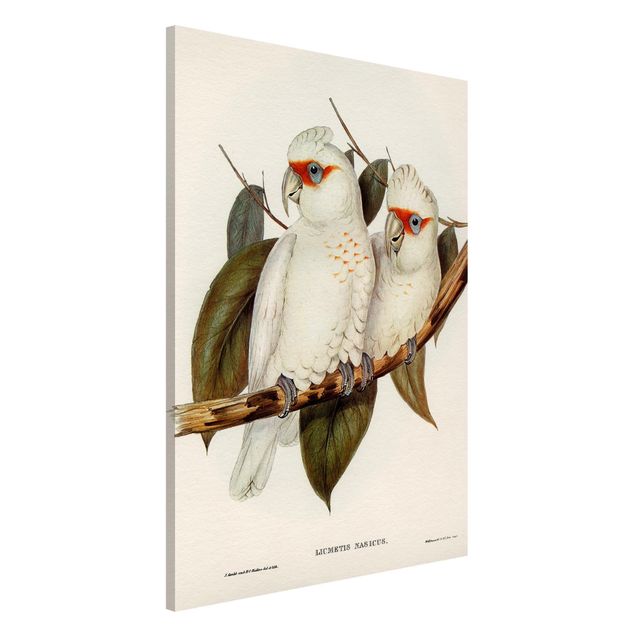 Kök dekoration Vintage Illustration White Cockatoo