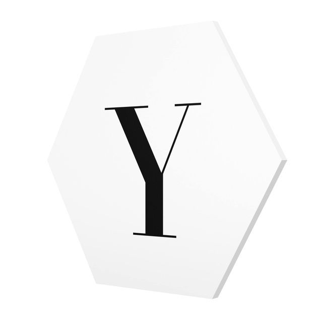 Hexagonala tavlor Letter Serif White Y