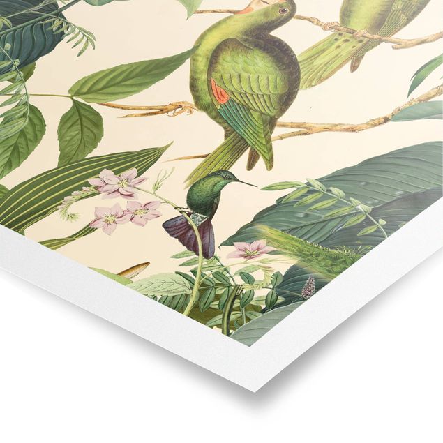 Posters konstutskrifter Vintage Collage - Parrots In The Jungle