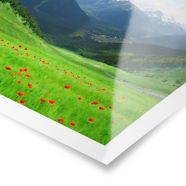 Posters blommor  Alpine Meadow