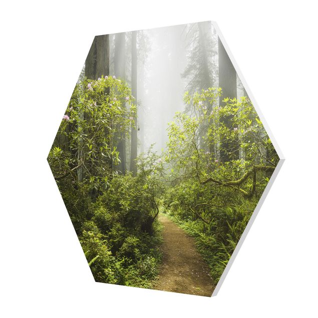 Tavlor grön Misty Forest Path