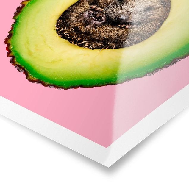 Tavlor Jonas Loose Avocado With Hedgehog