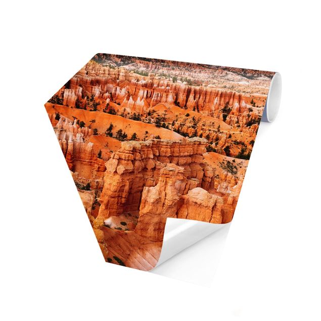 Fototapeter orange Blaze Of Colour Of The Grand Canyon