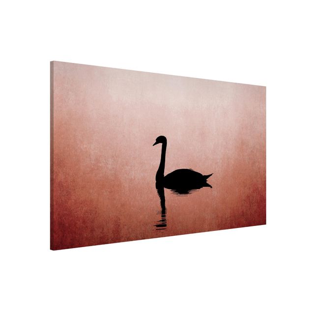 Kök dekoration Swan In Sunset