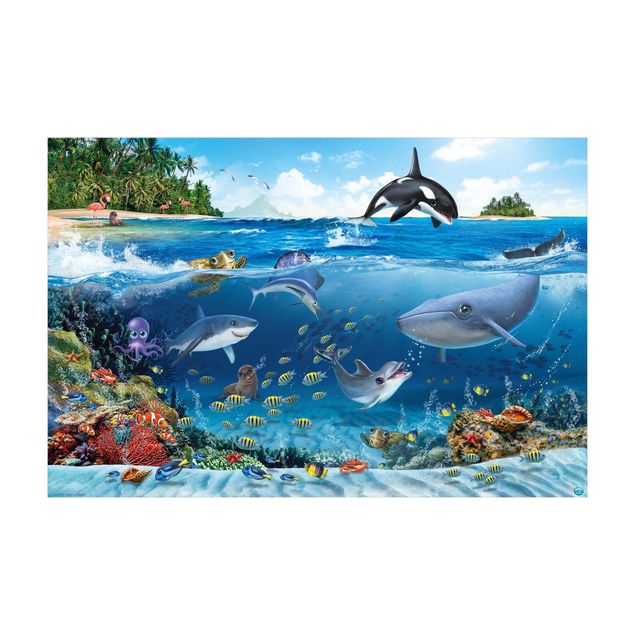 matta natur Animal Club International - Underwater World With Animals