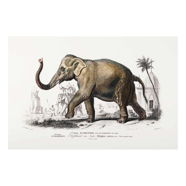 Glastavlor djur Vintage Board Elephant