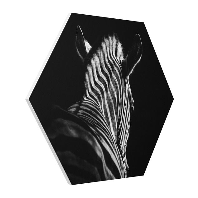 Tavlor djur Dark Zebra Silhouette