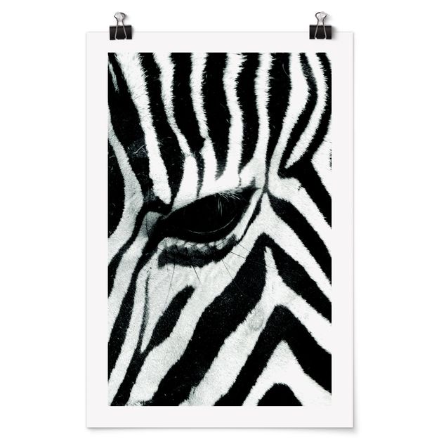 Posters djur Zebra Crossing No.3