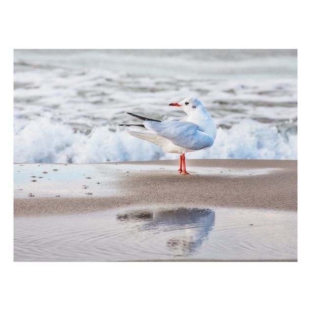 Tavlor landskap Seagull On The Beach In Front Of The Sea