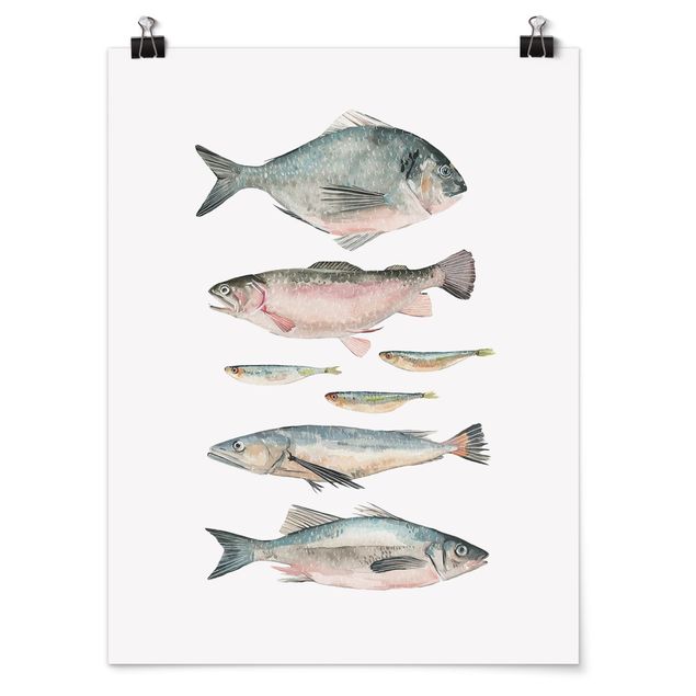 Tavlor modernt Seven Fish In Watercolour II