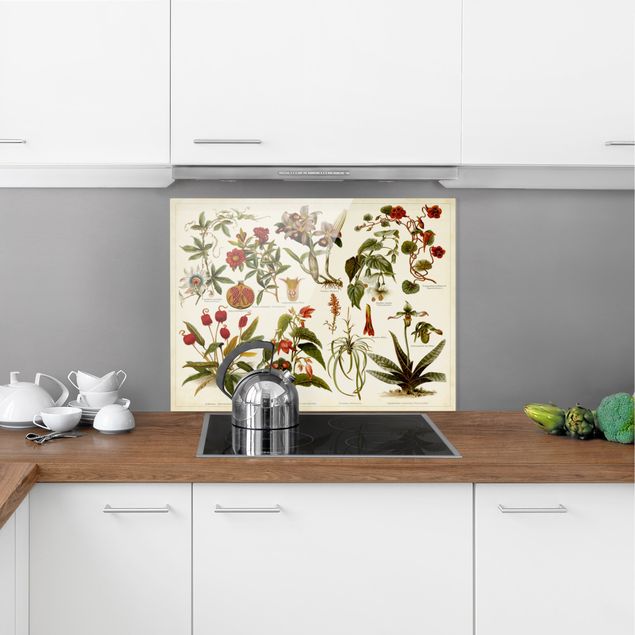 Stänkskydd kök glas blommor  Vintage Board Tropical Botany II
