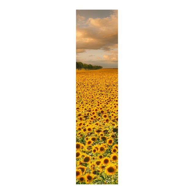 Panelgardiner blommor  Field With Sunflowers