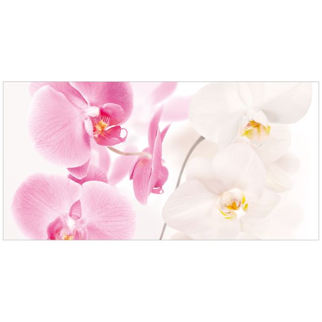 Fönsterdekaler blommor  Delicate Orchids