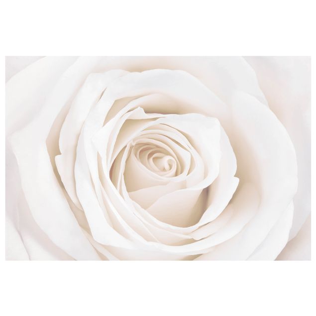 Fönsterdekaler blommor  Pretty White Rose