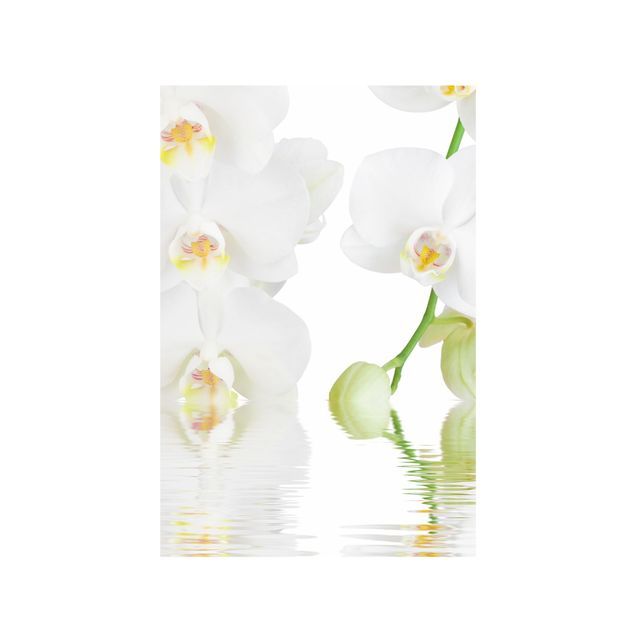 Fönsterdekaler blommor  Spa Orchid - White Orchid