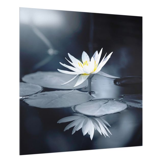 glasskiva kök Lotus Reflection In The Water