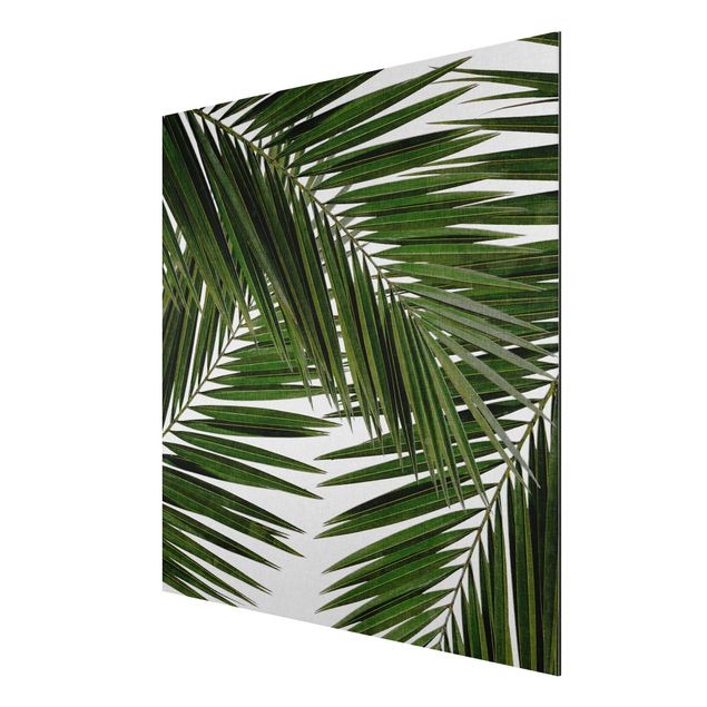 Tavlor blommor View Through Green Palm Leaves