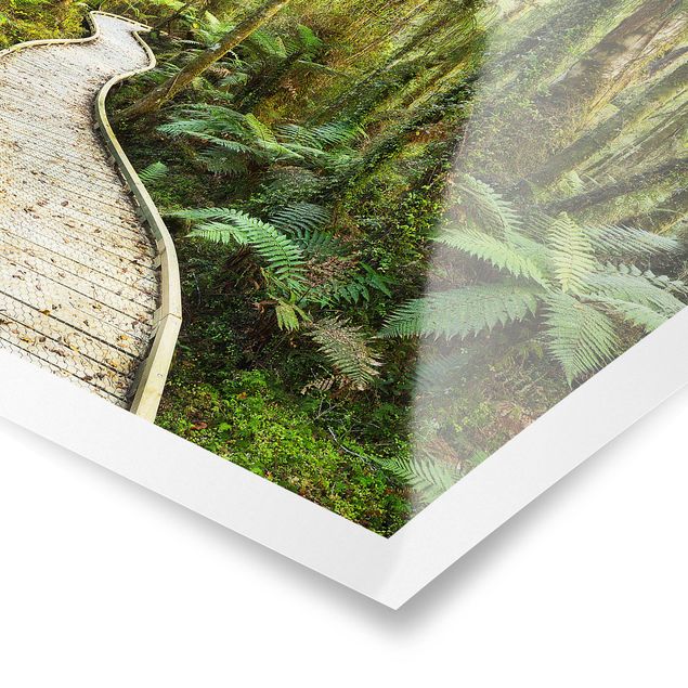 Posters landskap Path In The Jungle