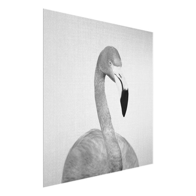 Glastavlor djur Flamingo Fabian Black And White