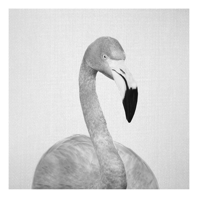 Tavlor svart och vitt Flamingo Fabian Black And White