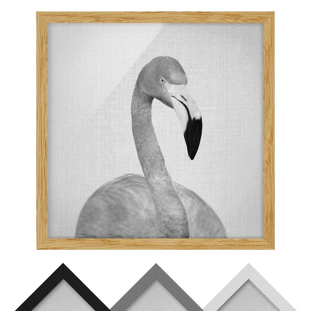 Tavlor Gal Design Flamingo Fabian Black And White