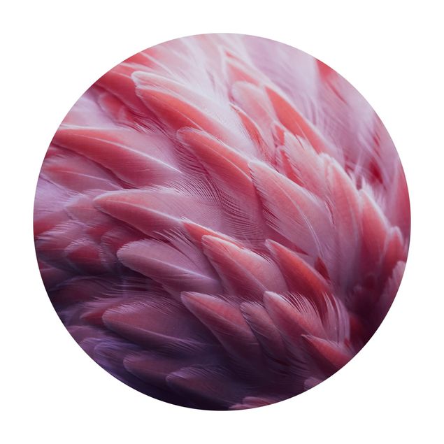 gångmatta natur Flamingo Feathers Close-Up