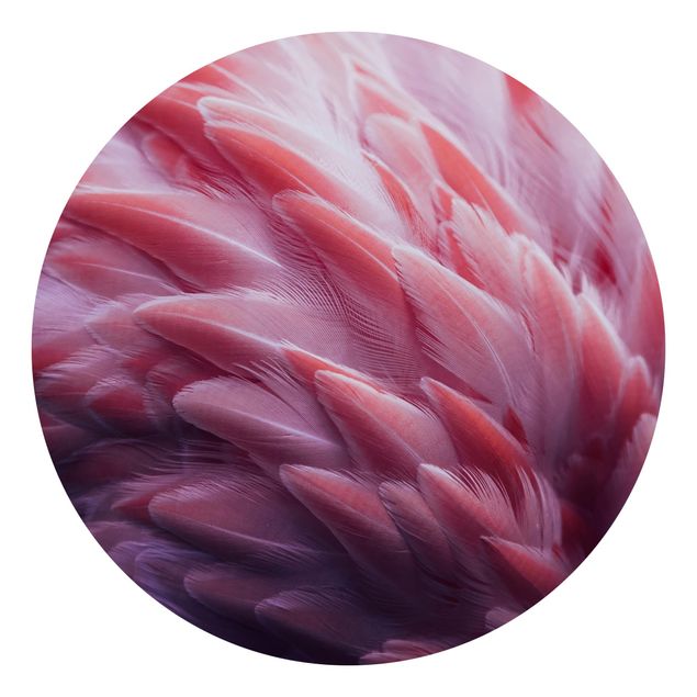 Fototapeter blommor  Flamingo Feathers Close-Up
