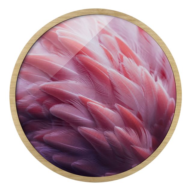 Tavlor med ram Flamingo Feathers Close-Up