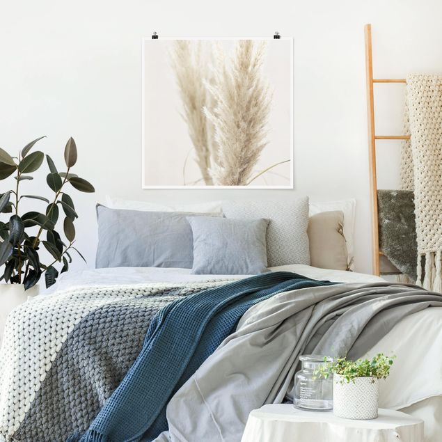 Posters blommor  Soft Pampas Grass