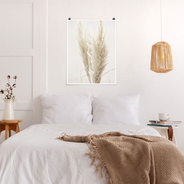 Posters blommor  Soft Pampas Grass