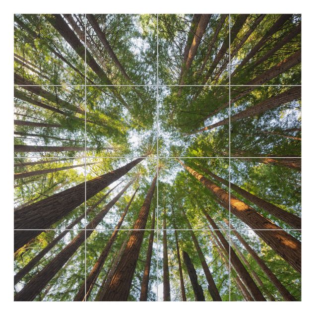 Kakel klistermärken grön Sequoia Tree Tops