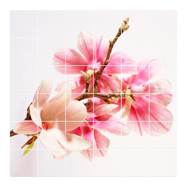 Kakel klistermärken Magnolia Blossoms
