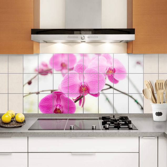 Kakel klistermärken Tile Mural Close-up of orchid