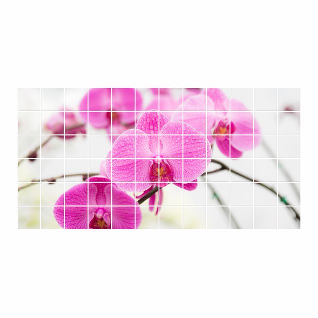 Kakel klistermärken Tile Mural Close-up of orchid