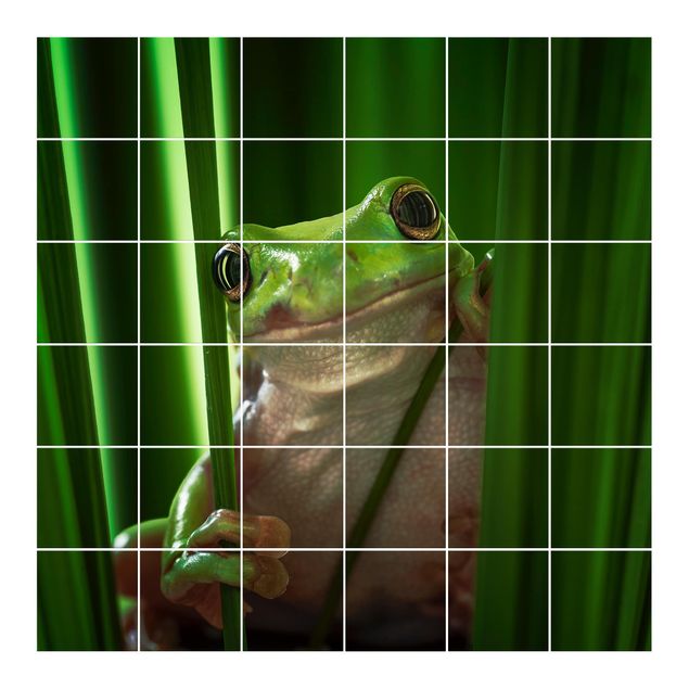 Kakel klistermärken grön Merry Frog