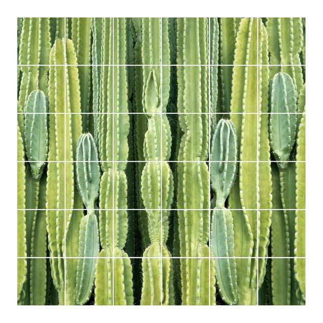 Kakel klistermärken grön Cactus Wall