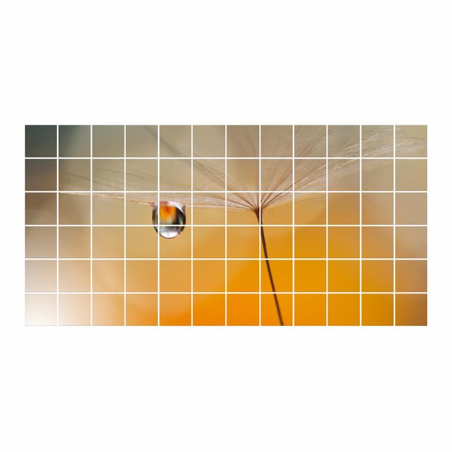 Kakel klistermärken Dandelion In Orange