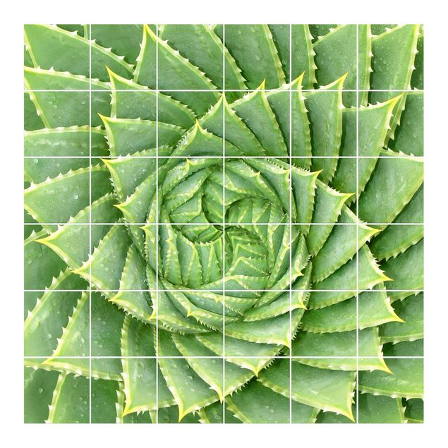Kakel klistermärken mönster Spiral Aloe