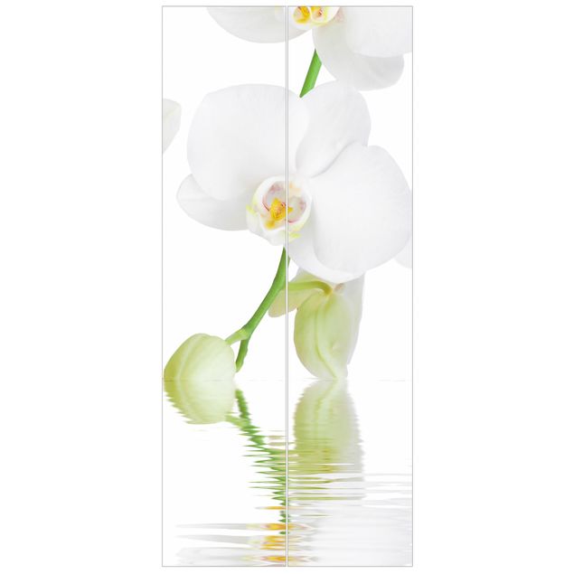 Fototapeter blommor  Spa Orchid - White Orchid
