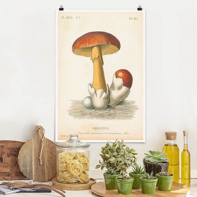 Kök dekoration French Mushrooms