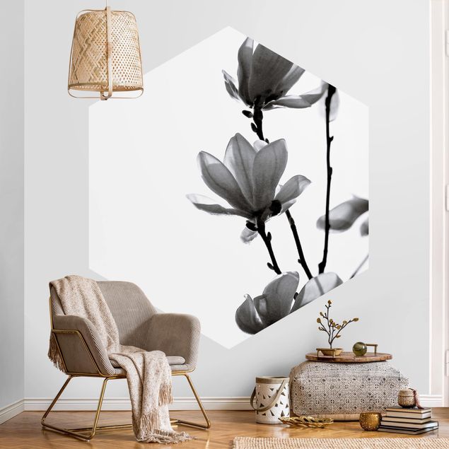 Tapeter modernt Herald Of Spring Magnolia Black And White