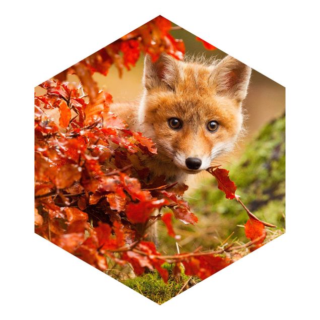 Tapeter Fox In Autumn