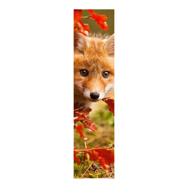 Panelgardiner landskap Fox In Autumn