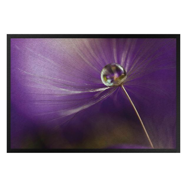 Dörrmattor blommor  Dandelion In Violet