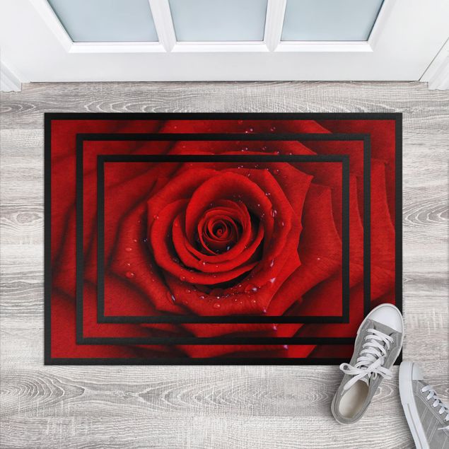 modern matta Red Rose With Water Drops