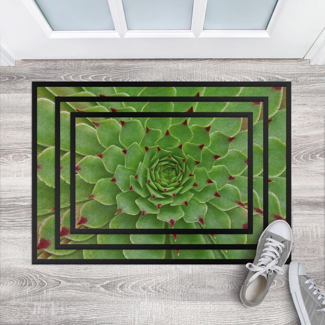 modern matta vardagsrum Succulent Pattern